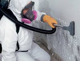 Mold Removal for HVAC Installations in West Hamburg, PA